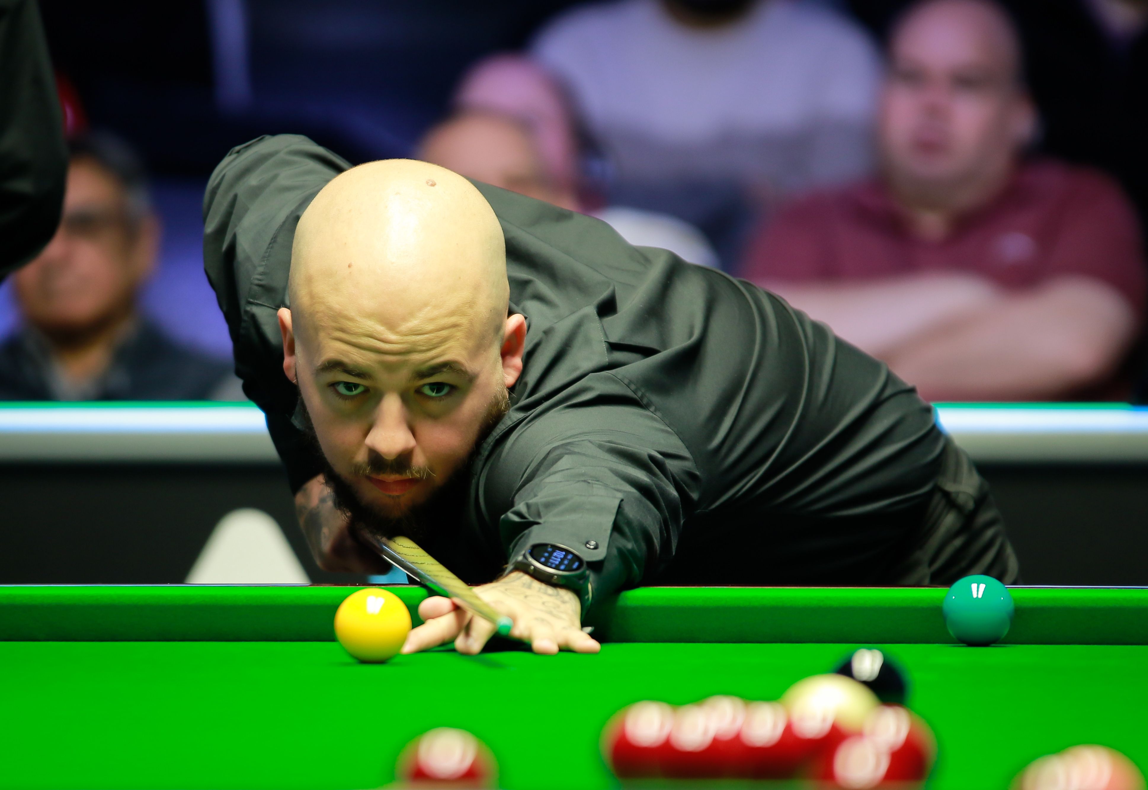 能在培养年 能在培养年